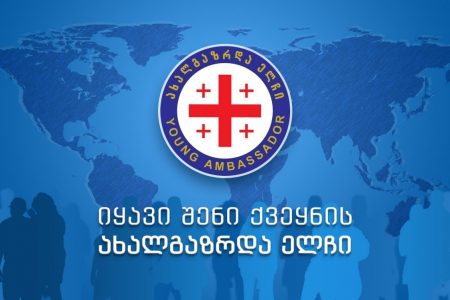 „იყავი შენი ქვეყნის ახალგაზრდა ელჩი“ – კონკურსისასთვის განაცხადების მიღება 5 აპრილიდან იწარმოებს